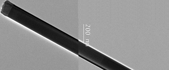 Wurzite Gallium Phosphide